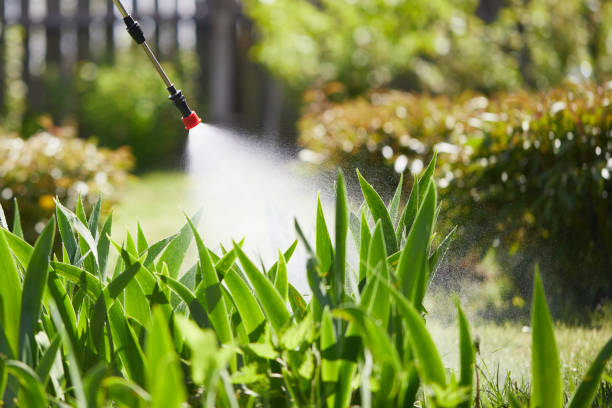 24/7 Emergency Mosquito Control experts in Kennett, MO
